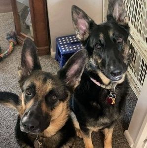 Meet your Posher, Kevin